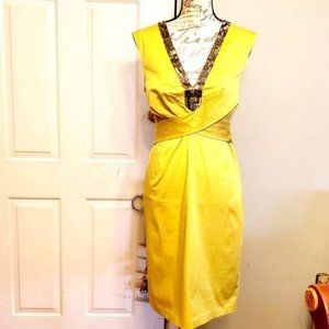 Ted Baker V-Neck Designer Cocktail Dress Sz3 NWOT